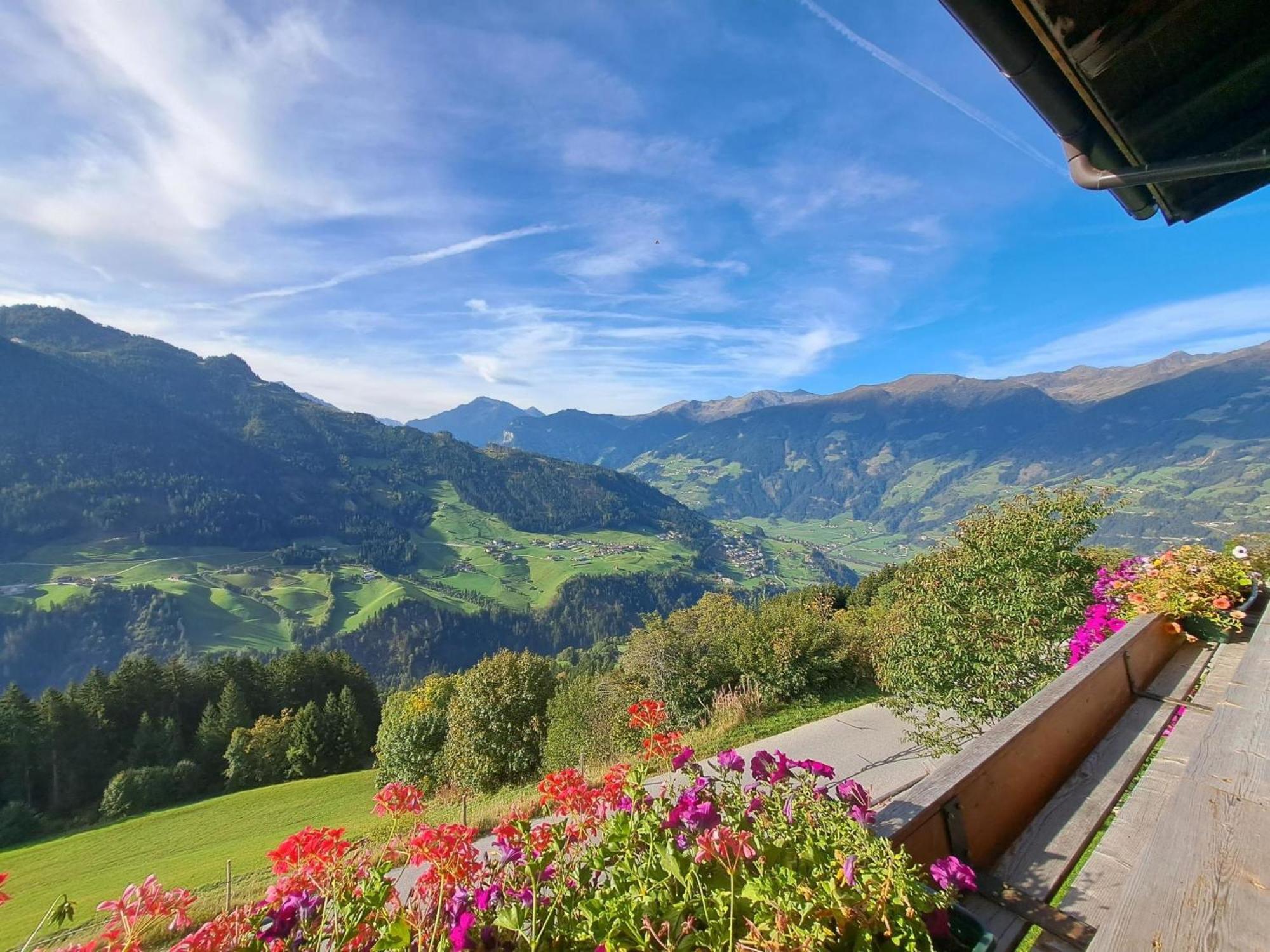 Apartment Alpenblick By Interhome Rohrberg Eksteriør billede